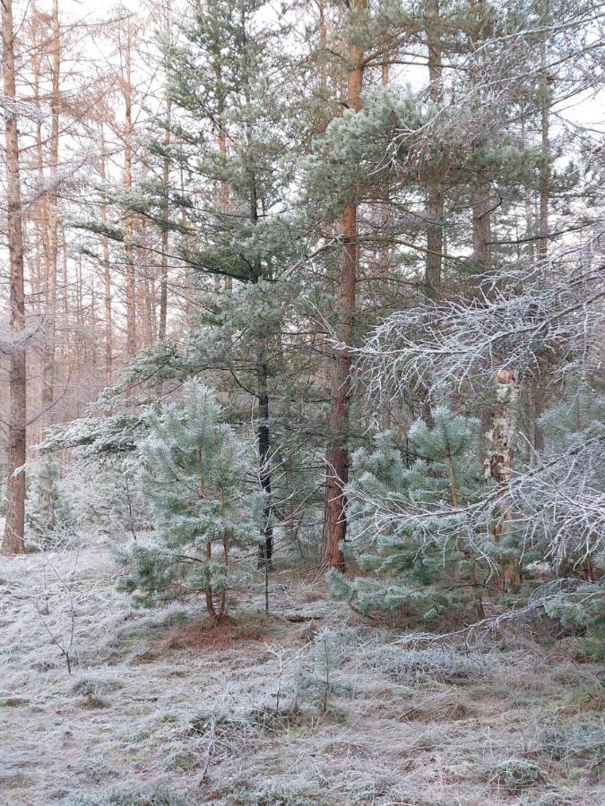 Natuur, Comfort, Rust, Mooie Omgeving พุทเทิน ภายนอก รูปภาพ